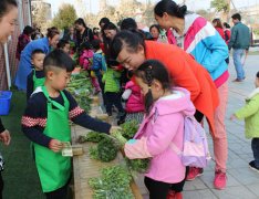 天府新區(qū)白沙幼兒園蔬菜義賣現場火爆